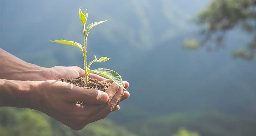 Enviroment Social